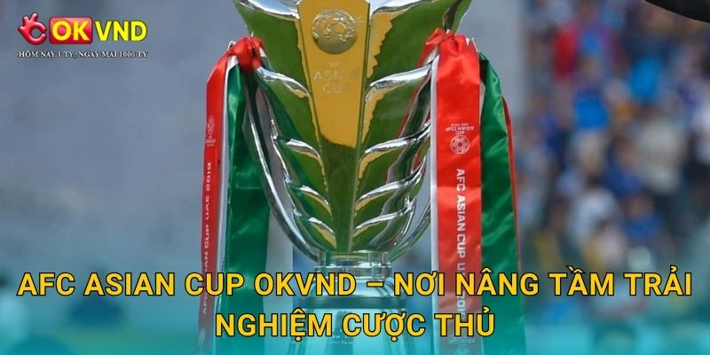 AFC Asian Cup OKVND – nơi nâng tầm trải nghiệm cược thủ