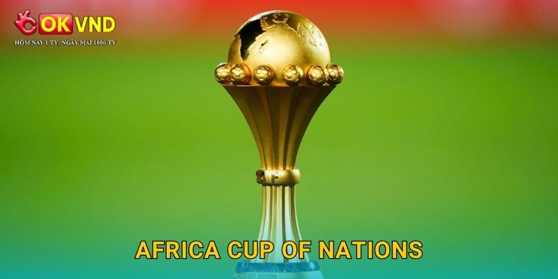 Africa Cup of Nations rực lửa cùng lựa chọn OKVND uy tín