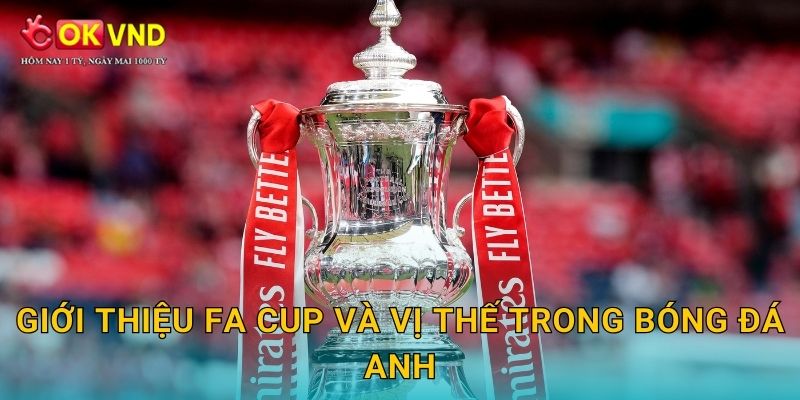Giới thiệu FA Cup và vị thế trong bóng đá Anh