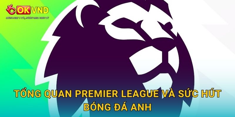 Premier League hấp dẫn cùng trải nghiệm cá cược tại OKVND 2 Tổng quan Premier League và sức hút bóng đá Anh