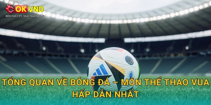 Tổng quan về bóng đá – môn thể thao vua hấp dẫn nhất